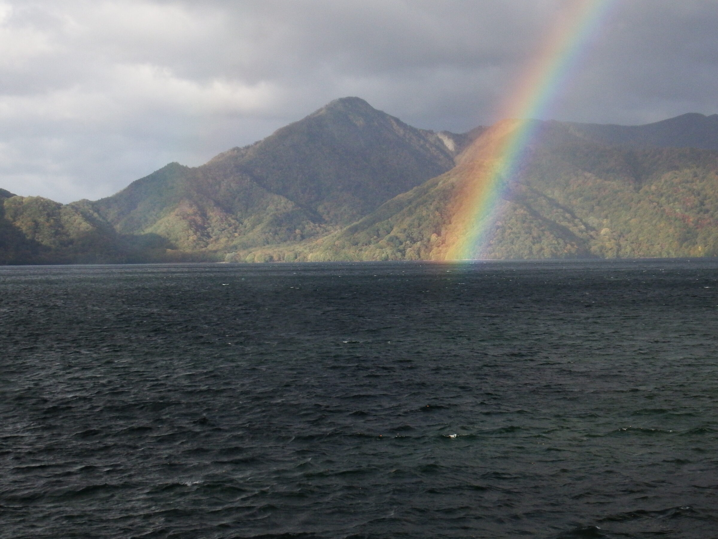 はるのニコニコ通信